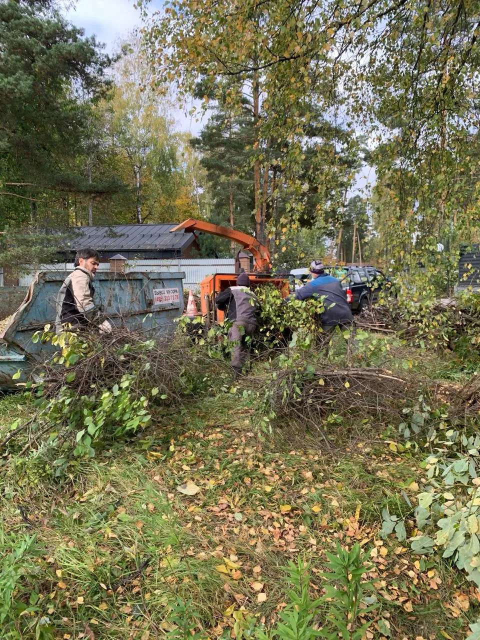Бригада подаёт срезанные ветки в измельчитель